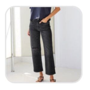 Ayr The Easy Easy Jeans